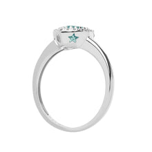 Carica l'immagine nel visualizzatore di Gallery, ANQ 313