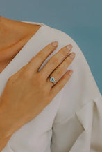 Carica l'immagine nel visualizzatore di Gallery, ANQ 313